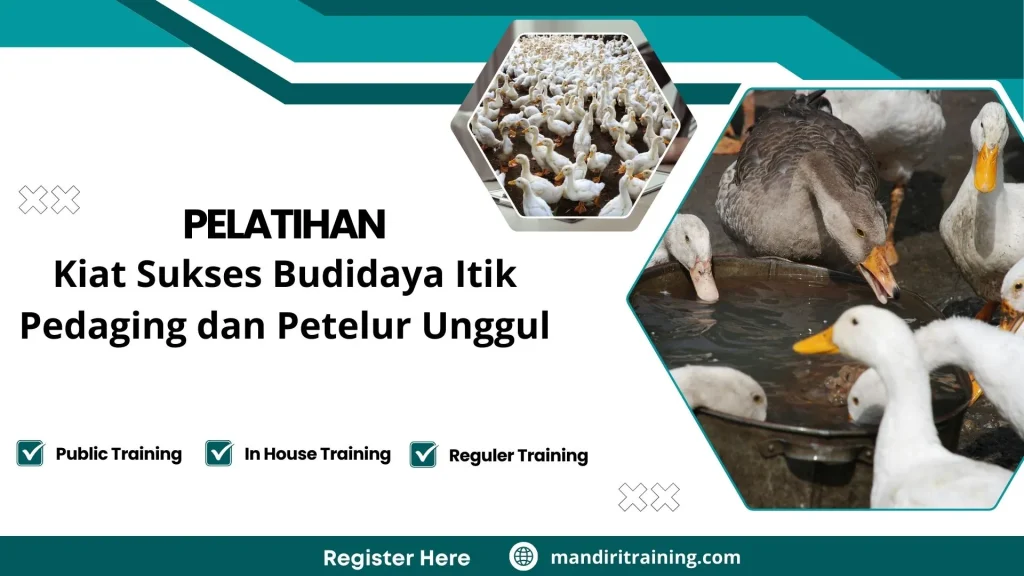 Pelatihan Kiat Sukses Budidaya Itik Pedaging Dan Petelur Unggul