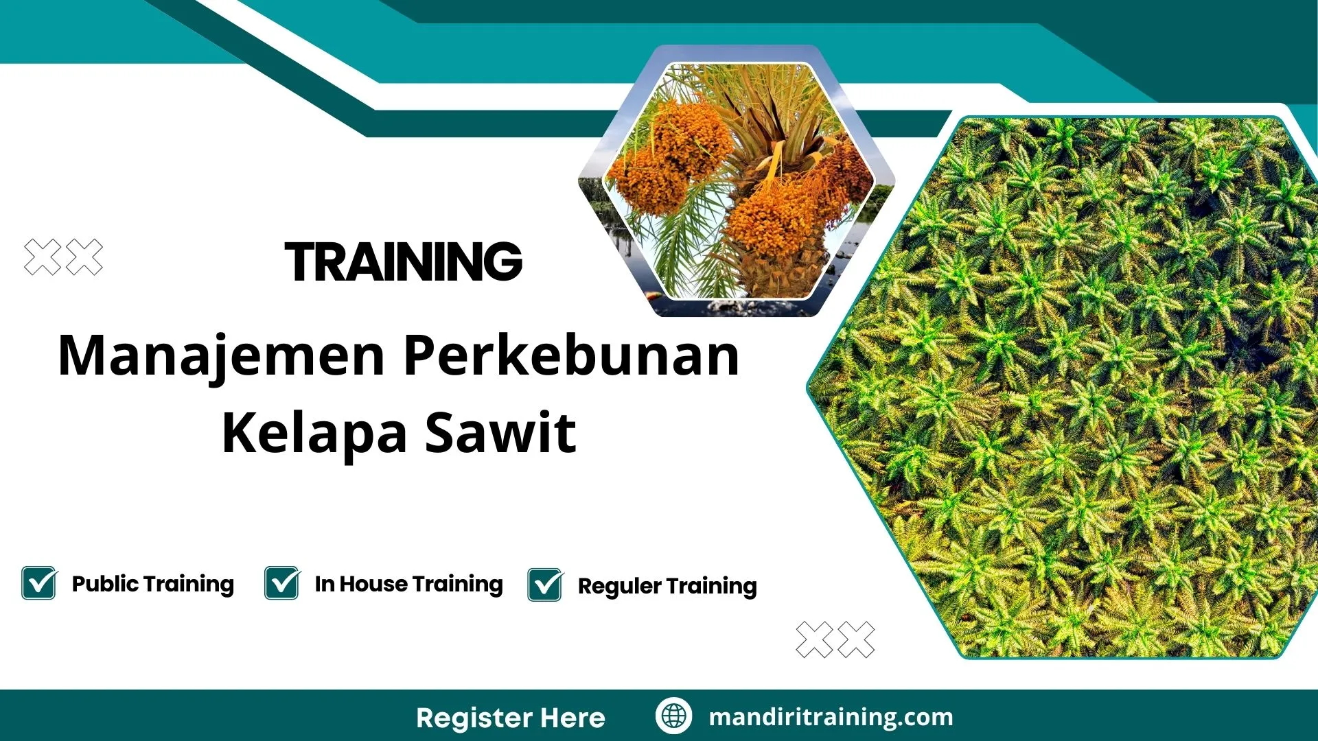 Pelatihan Manajemen Perkebunan Kelapa Sawit