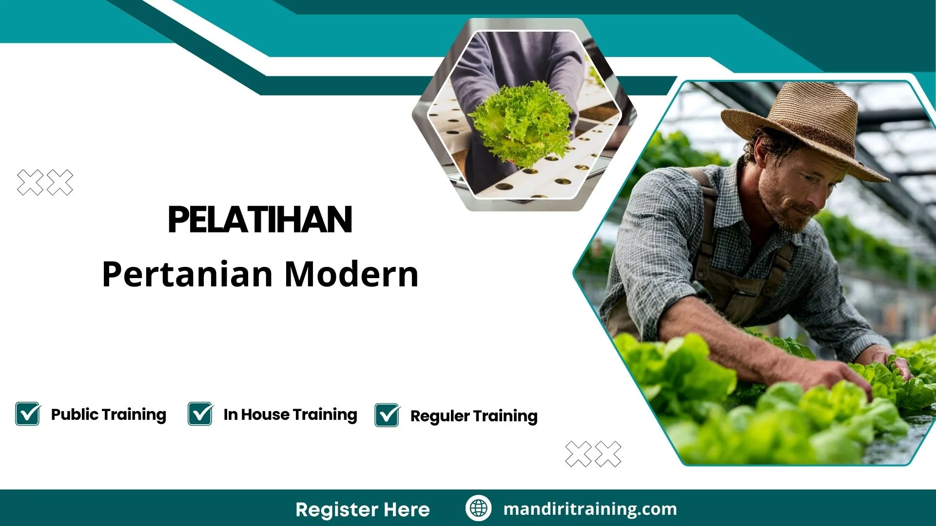 Pelatihan Pertanian Modern