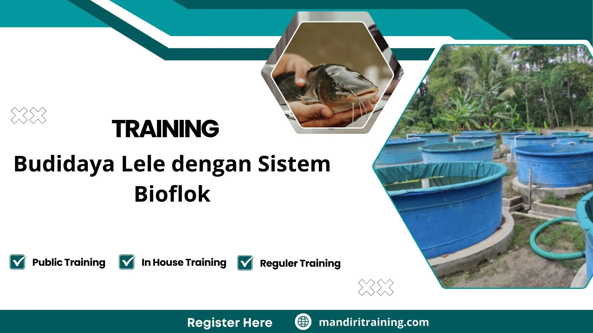 Training Perikanan Lele Modern