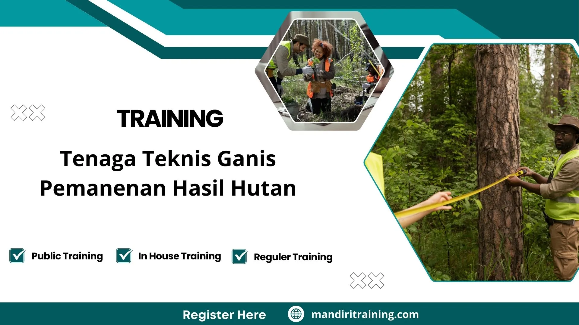 Training pemanenan hutan lestari