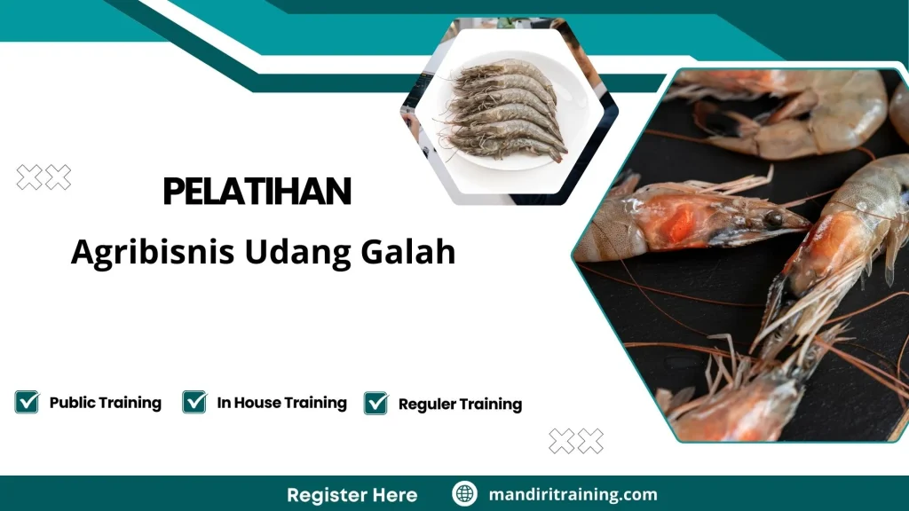 Pelatihan manajemen udang galah