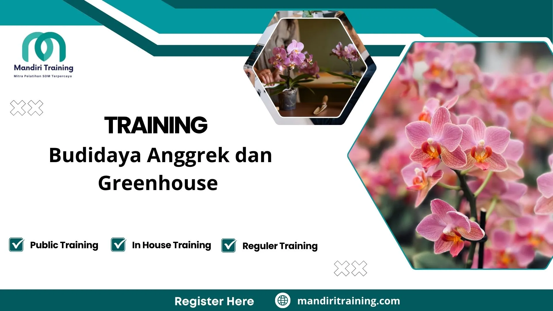 Training teknik perawatan anggrek