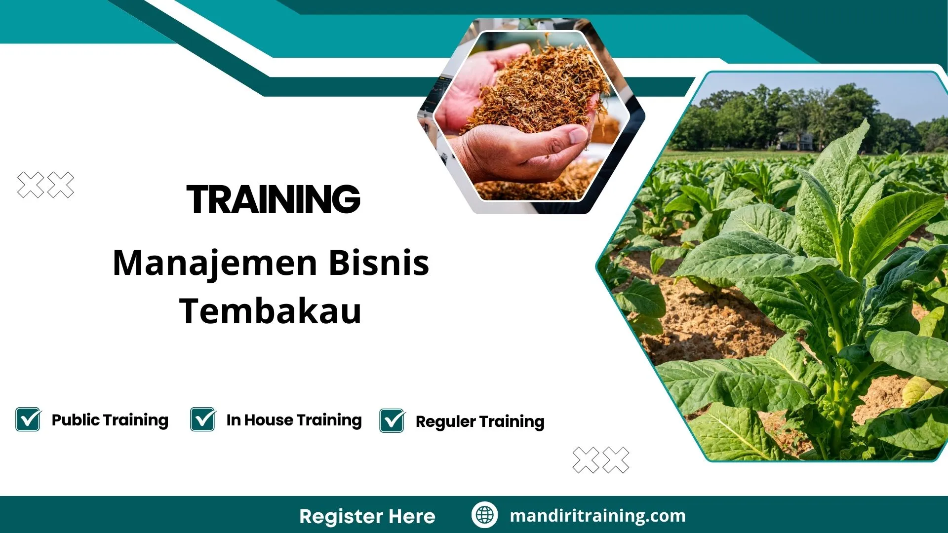 Training manajemen produksi tembakau