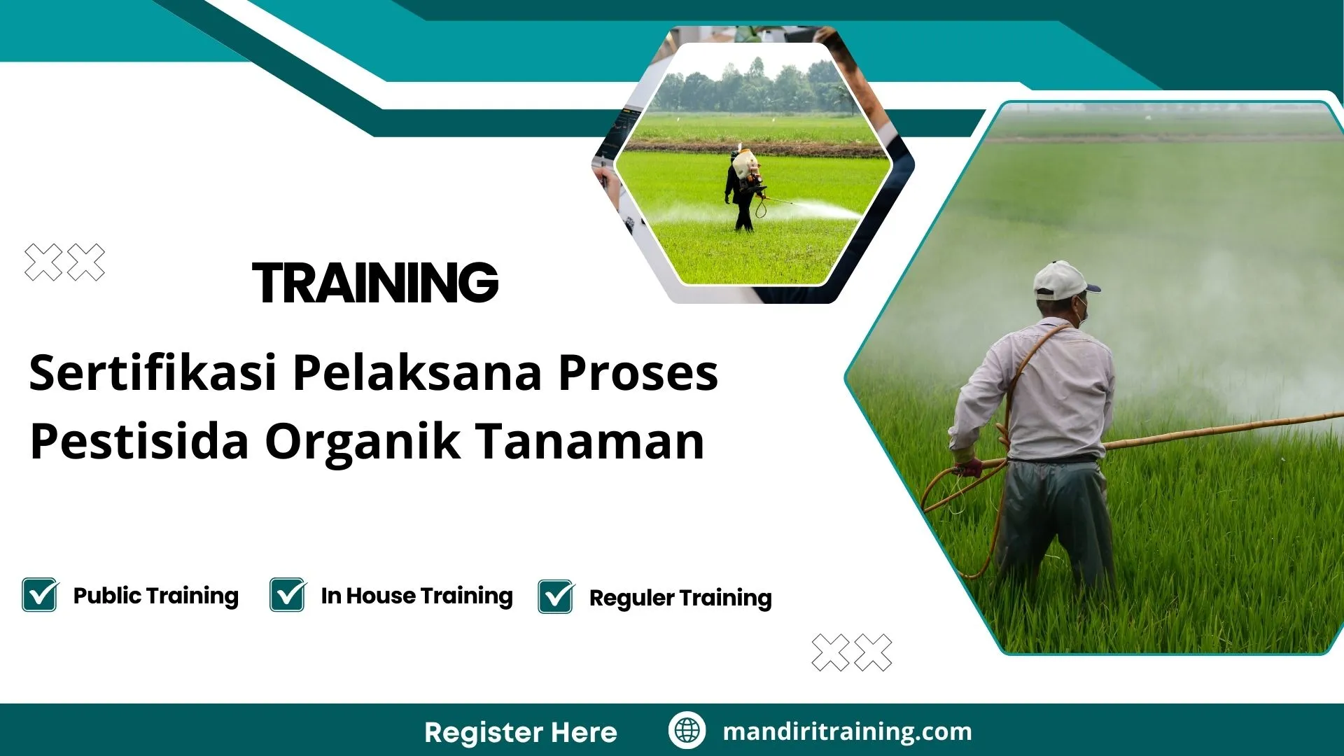 Training standar keamanan pestisida organik