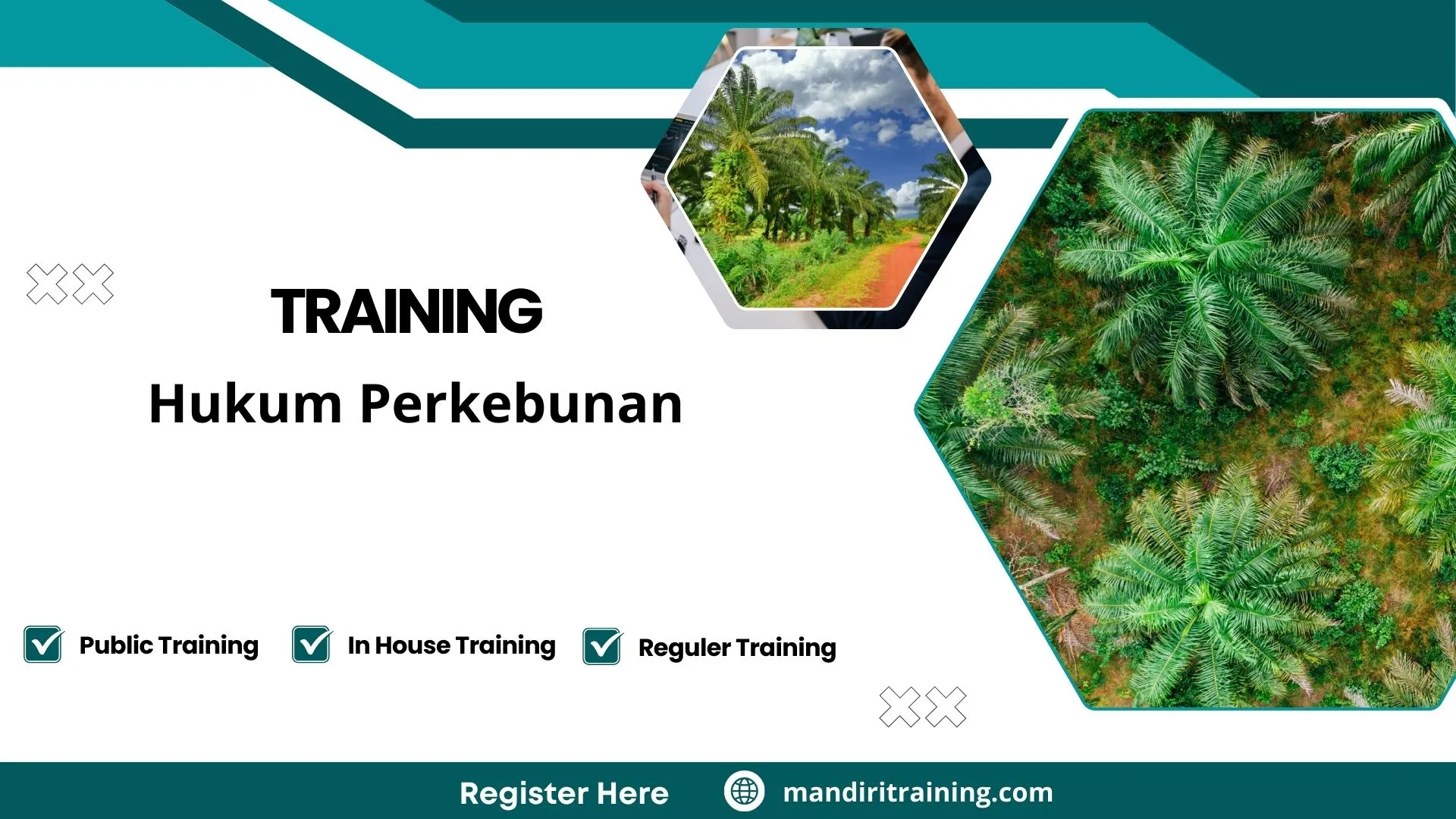 Training perizinan perkebunan