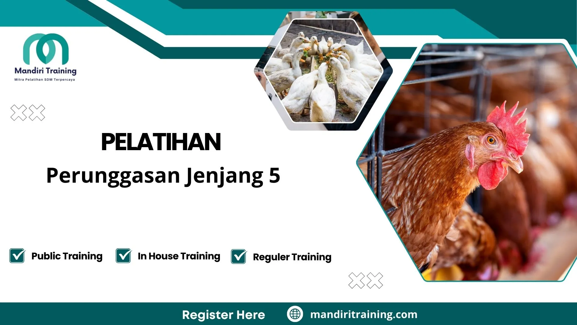 Pelatihan budidaya unggas modern