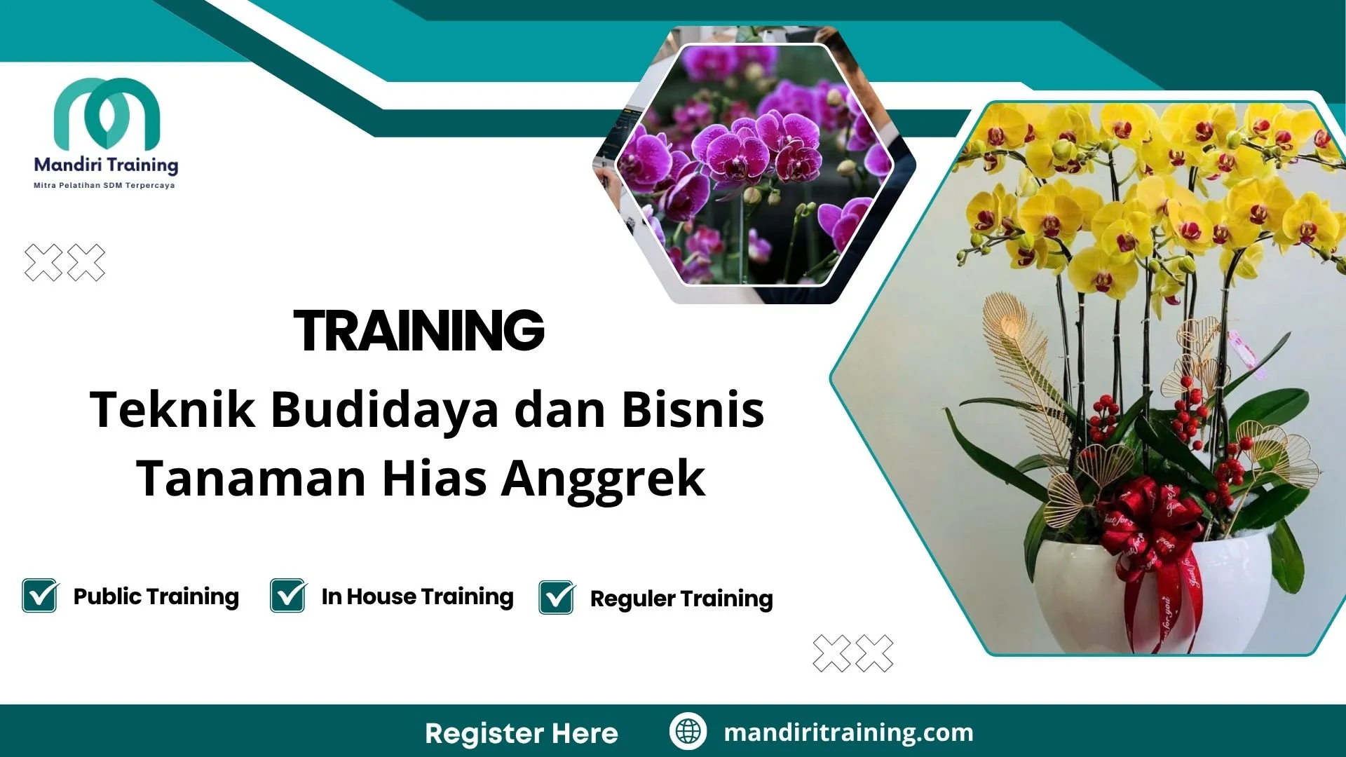 Training perawatan anggrek