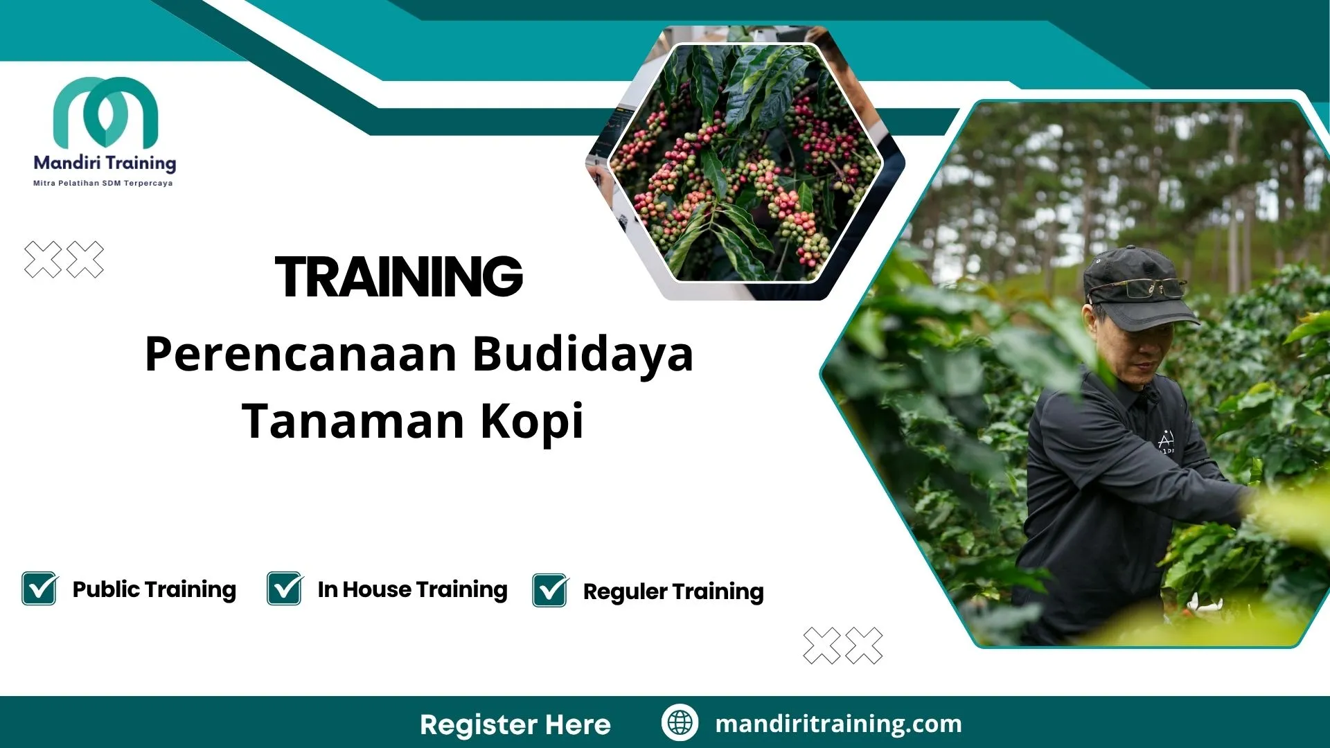 Training manajemen kebun kopi