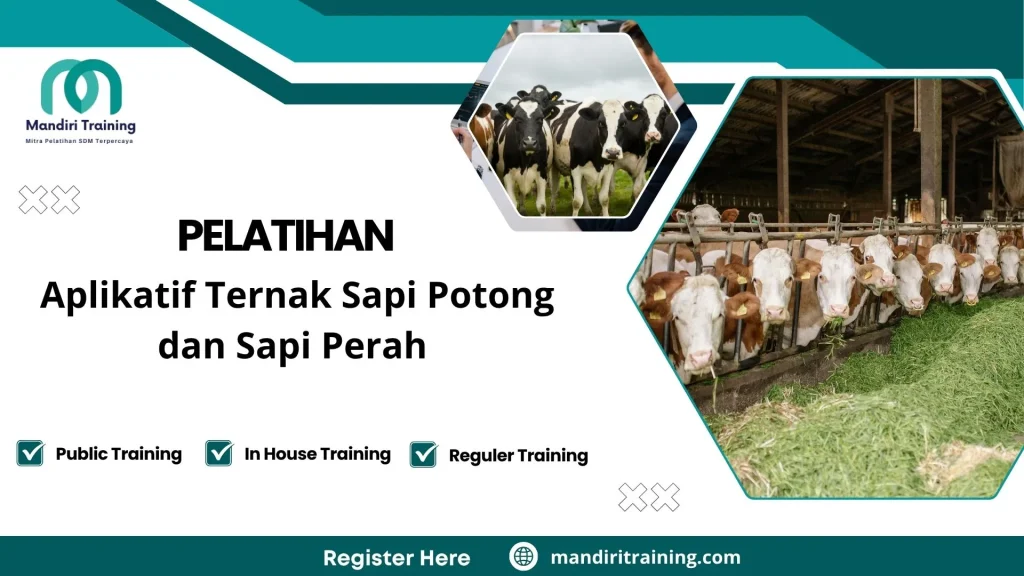 Pelatihan manajemen peternakan sapi