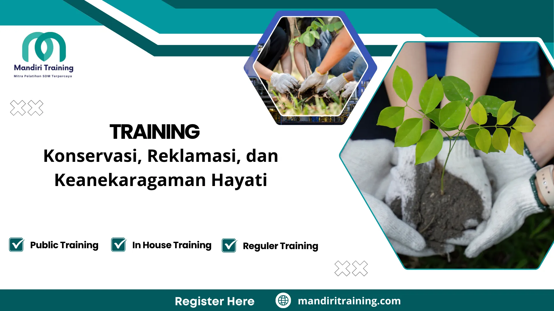 Training reklamasi lahan
