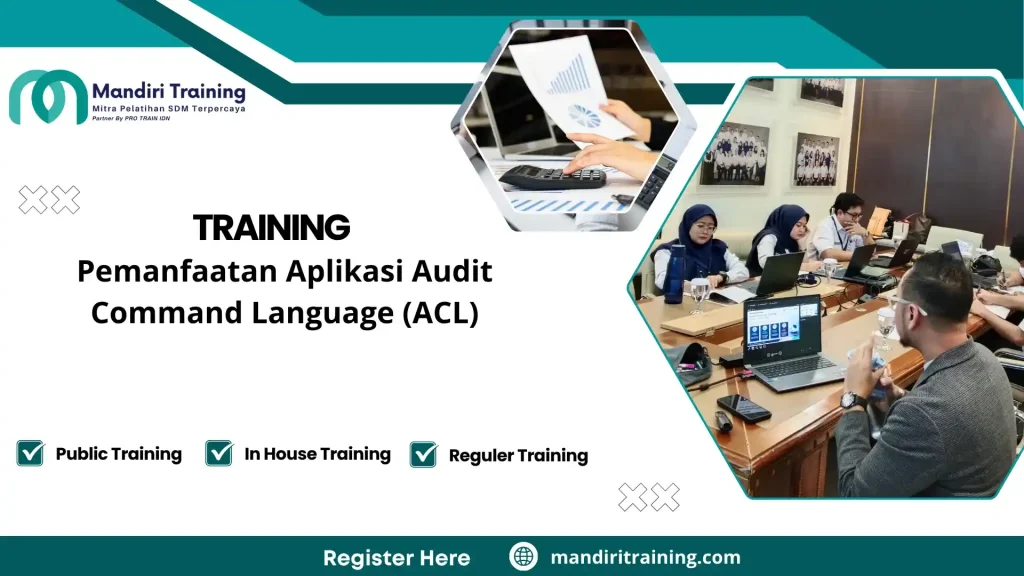 analisis data audit