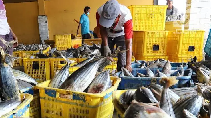 PENGOLAHAN HASIL LAUT: PELUANG, MANFAAT, DAN TANTANGAN DALAM MENINGKATKAN NILAI PRODUK PERIKANAN