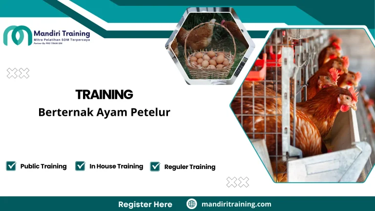manajemen peternakan ayam petelur