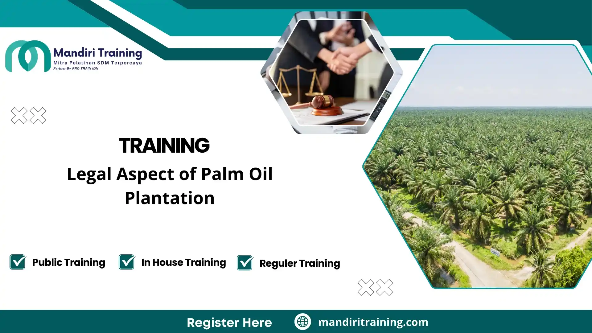 hukum perkebunan kelapa sawit